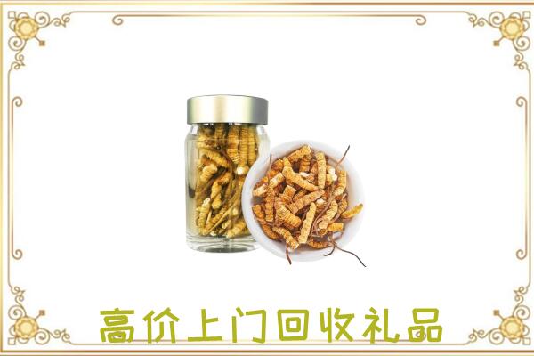 绥江周边回收虫草